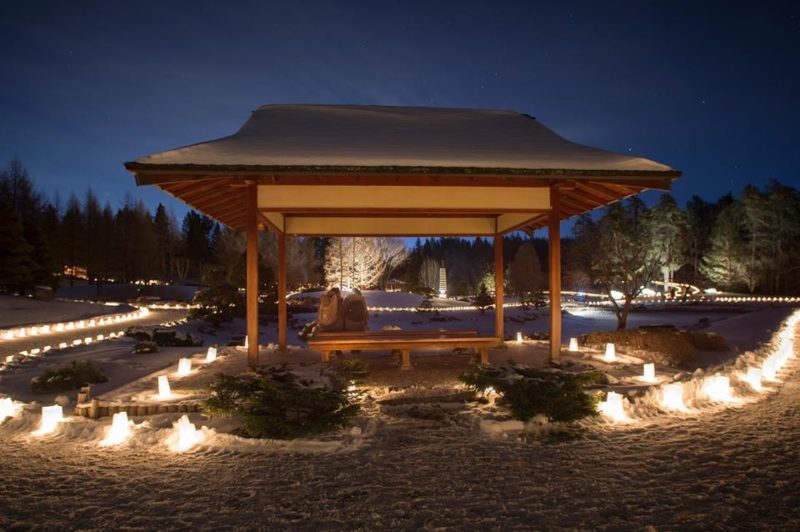 Luminaria at the University of Alberta Botanic Garden | Family Fun Edmonton