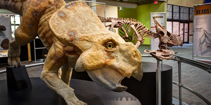 new paleontology discoveries