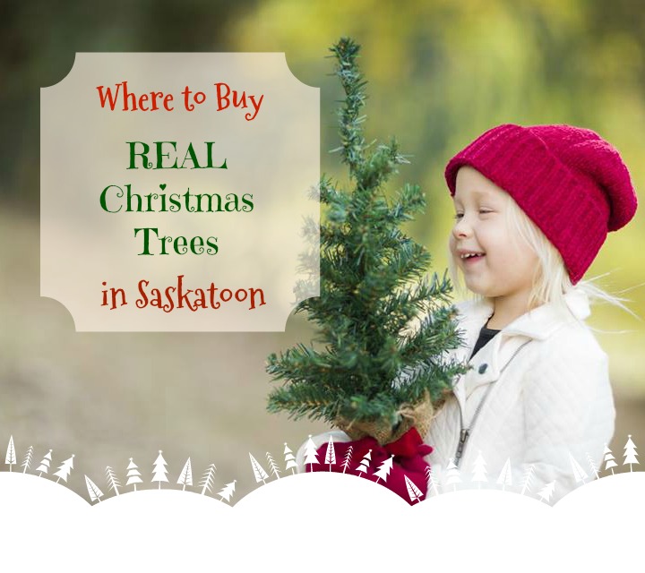 Kid's Outdoor Adventure Bucket List