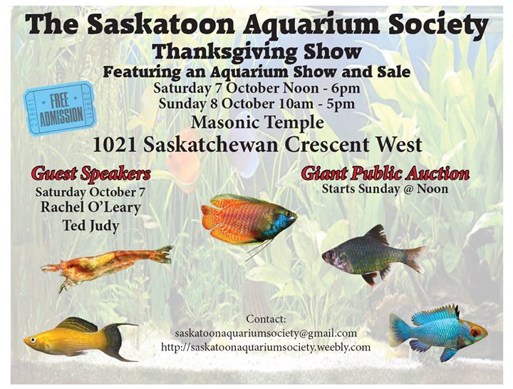 thanksgiving show 2017 shop all things the sea at the saskatoon aquarium society thanksgiving show thanksgiving show 2017 shop all things the sea at the saskatoon aquarium society thanksgiving show