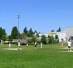 oakpark oakpark