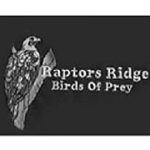 raptors_ridge raptors_ridge