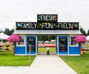 Fresh Family Fun Field at Krause Berry Farms