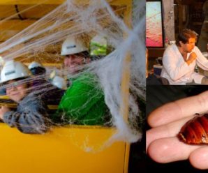 Spoo-ook-tacular Halloween