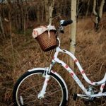 Photographs by Erin Baer of Sprout Photo
