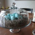 Robins eggs