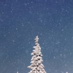 white christmas white christmas