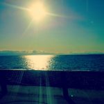 sunshine coast highway