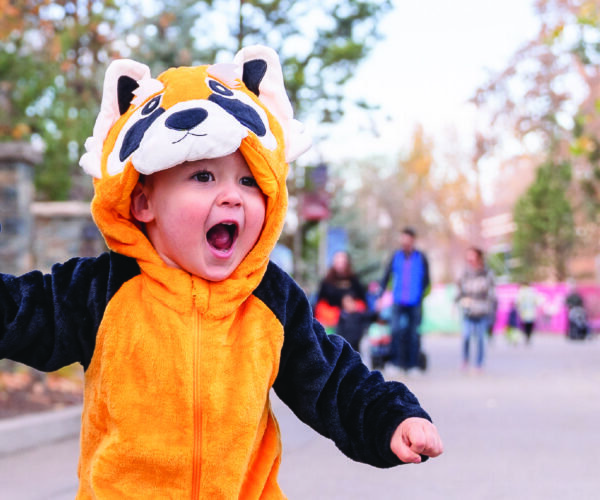 ZooBOO Wilder Institute's Calgary Zoo