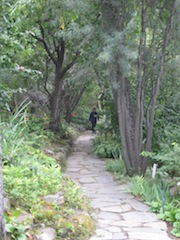 Ben walking under trees at Reader Rock Garden