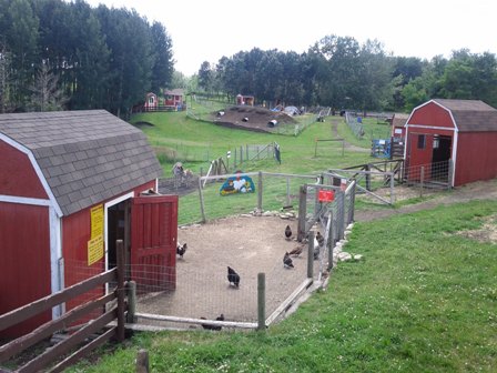 Barnyard at Butterfield Acres