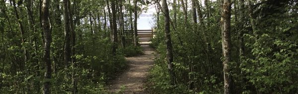 Jarvis Bay Provincial Campground (diversão em família em Calgary)