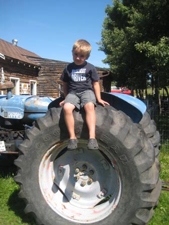 Tractor at Butterfield Acres