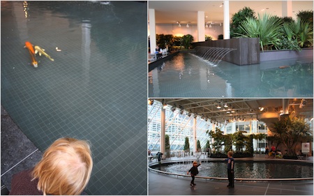 Devonian Gardens in Calgary AB (Family Fun Calgary)