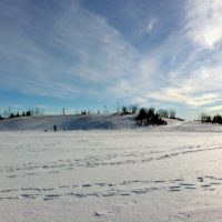 Tobogganing_in_Calgary_Royal_Oak