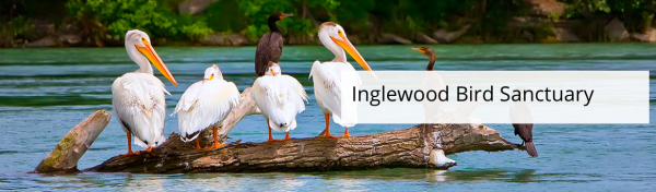 Inglewood Bird Sanctuary (패밀리 펀 캘거리)