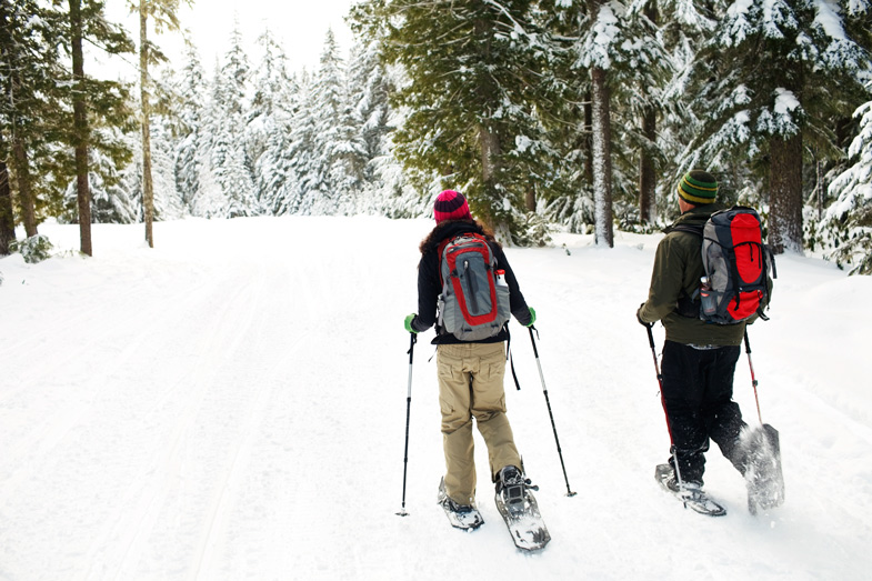 snowshoeing canmore