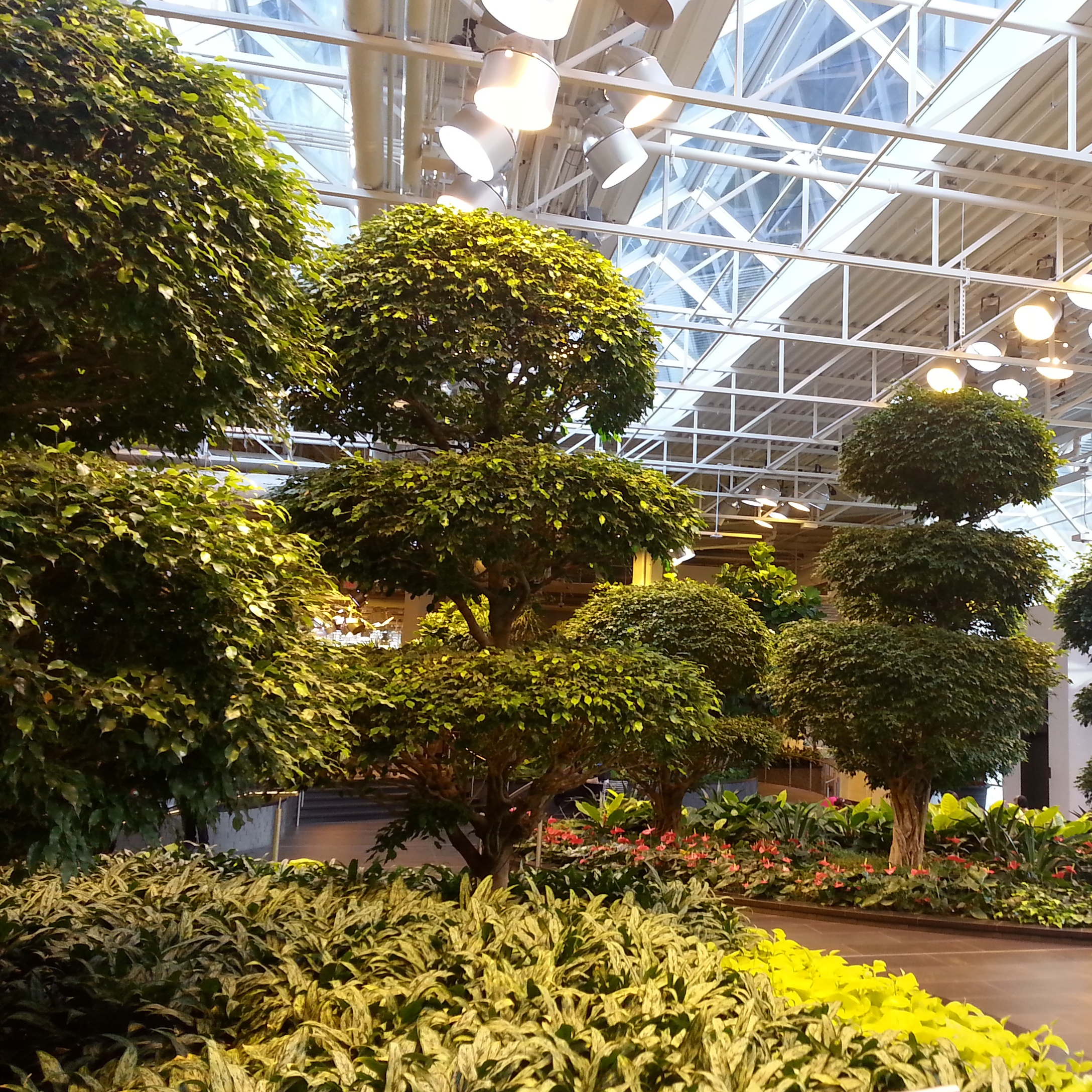 Garden Centres Near Me
