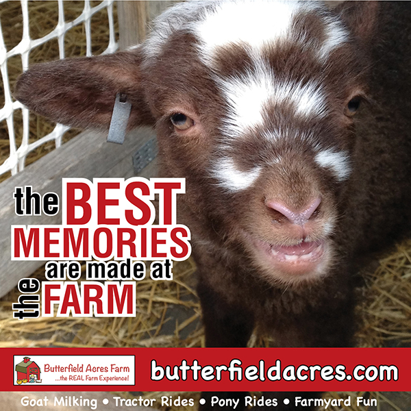 Butterfield Farms in NW Calgary is a great place to spend a day with your family.