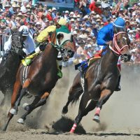 Millarville Races (Family Fun Calgary)
