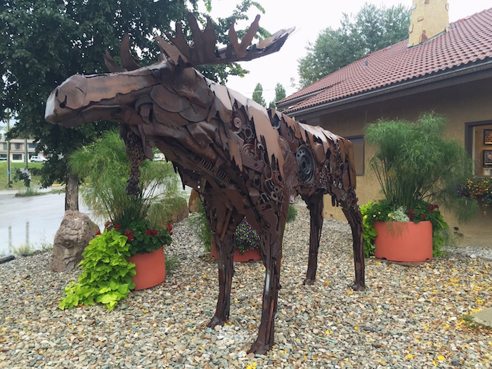 Meet Rusty the Moose. You'll find him hanging out in downtown Invemere