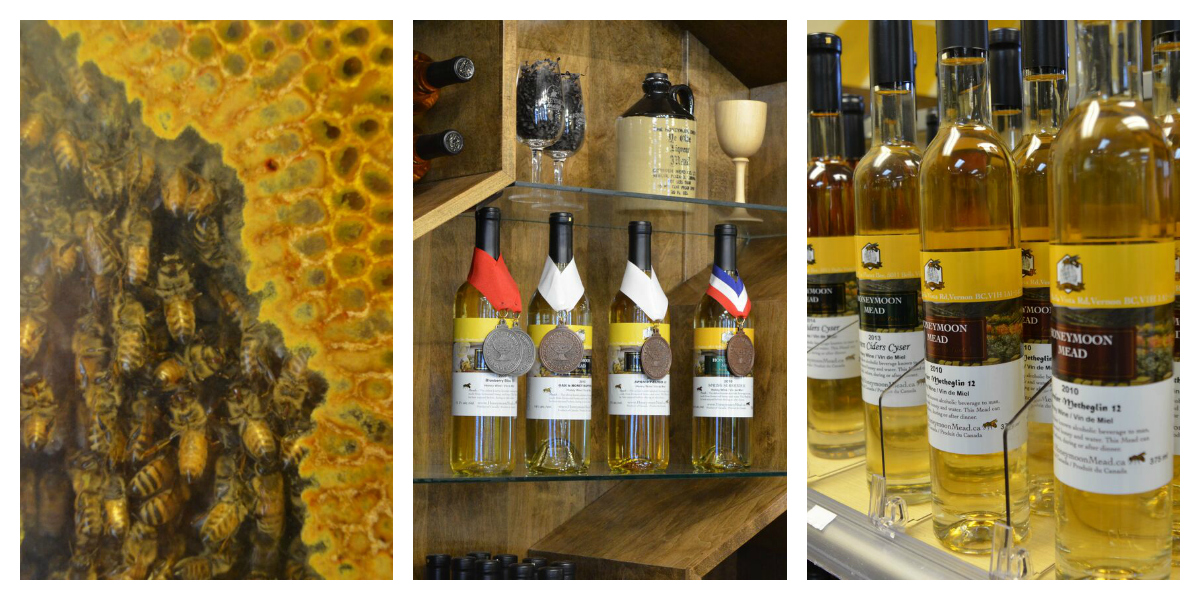 Planet Bee & Honeymoon Meadery, Vernon BC (Family Fun Canada)