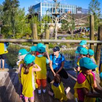 Calgary Zoo Summer Camps (Family Fun Calgary)