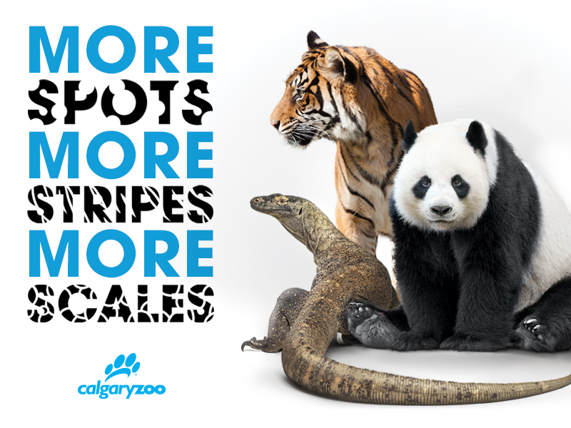 Calgary Zoo Memberships A Whole Year of Fun and Learning for One Low