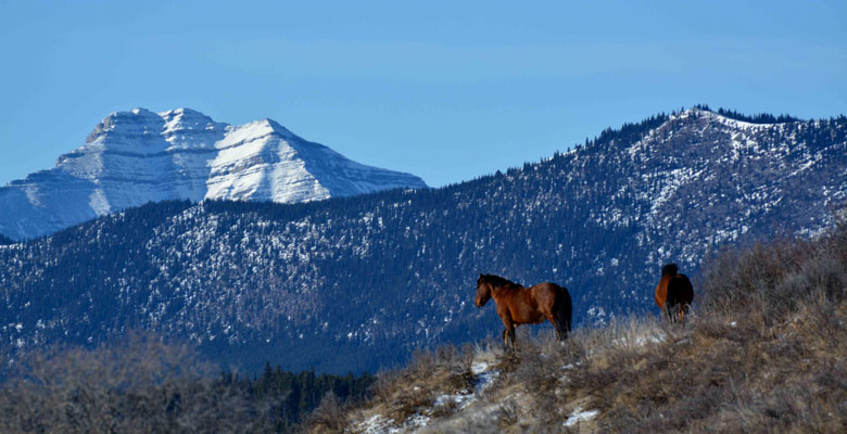 Visitez Sundre, Alberta pour beaucoup de plaisir et de loisirs en famille! (Plaisir en famille à Calgary)