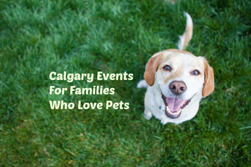 Calgary and area Petfriendly and Familyfriendly Events