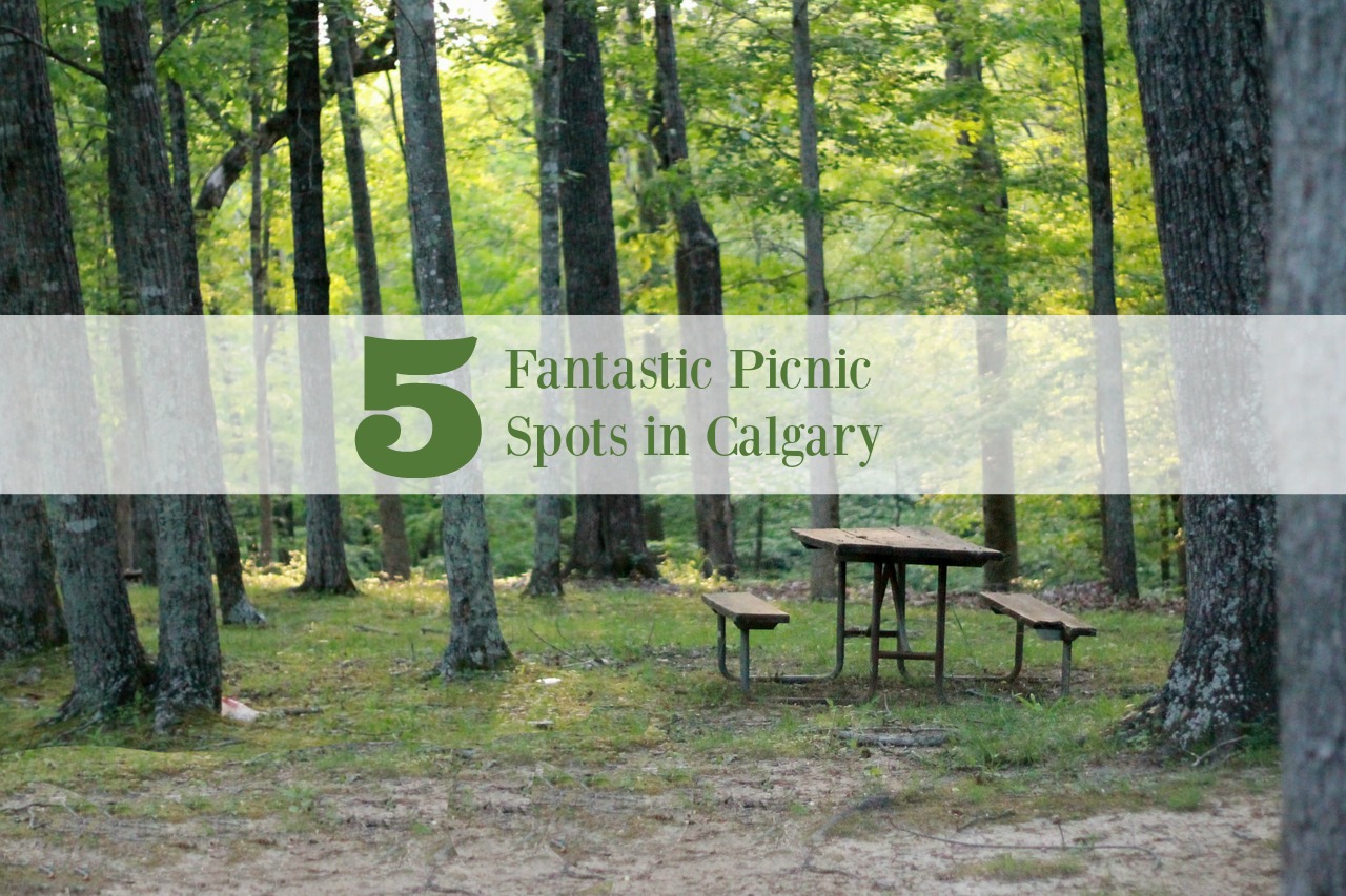 5 Fantastic Picnic Spots in Calgary Family Fun Calgary