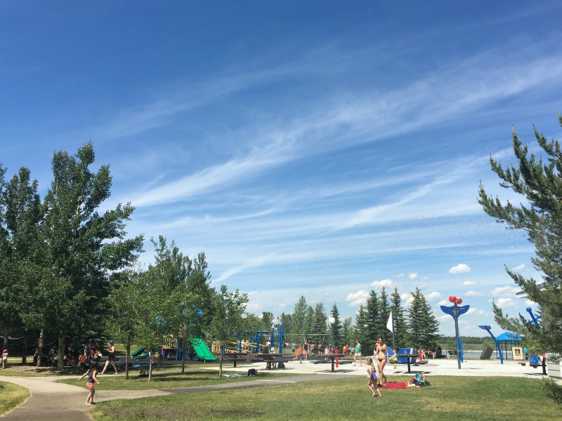 5 fantastische Orte zum Picknicken in Calgary, AB (Family Fun Calgary)