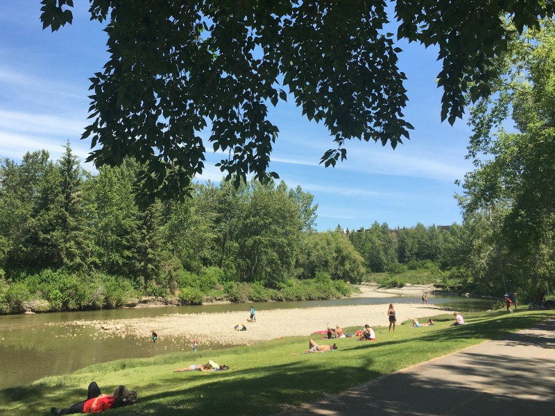 5 fantastische Orte zum Picknicken in Calgary, AB (Family Fun Calgary)