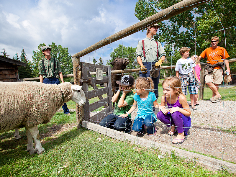 Le rebond du Country Heritage Park (Family Fun Calgary