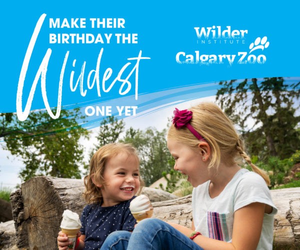 Festa de aniversário do zoológico de Calgary (diversão em família em Calgary)