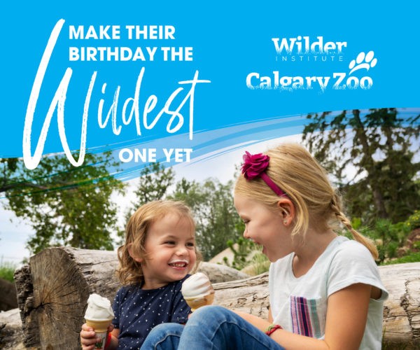 Fiesta de cumpleaños del zoológico de Calgary (Diversión familiar en Calgary)