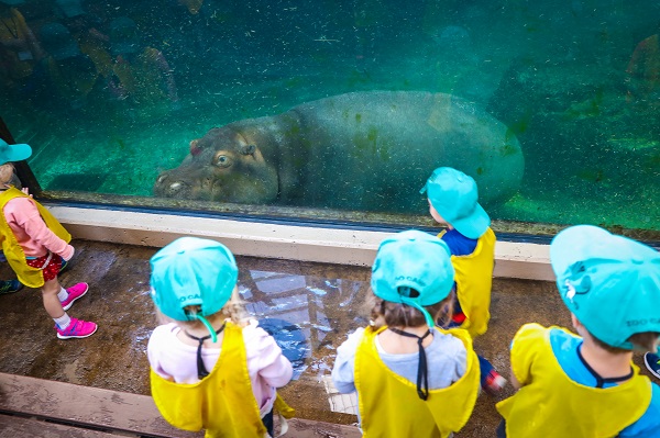 Calgary Zoo Camp (Family Fun Calgary)