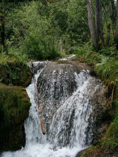 Big Hill Springs (Plaisir en famille à Calgary)