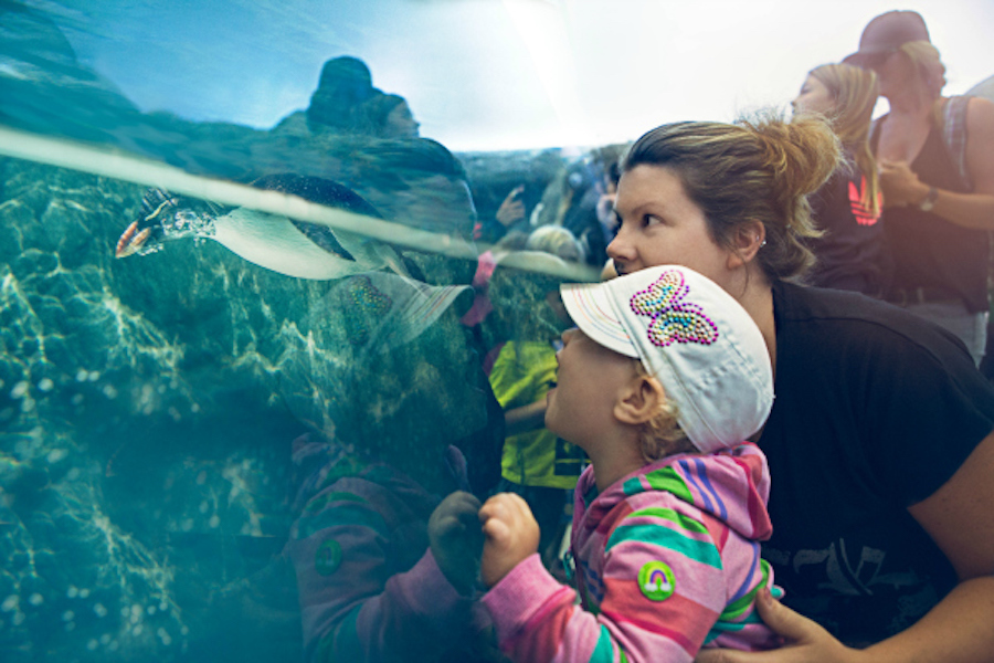 Calgary Zoo (Family Fun Calgary)