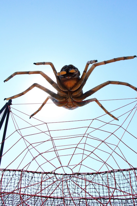 Granary Road - Spider Web (Family Fun Calgary)