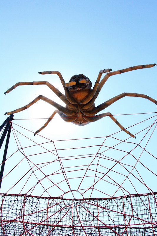 Granary Road-Spider Web（Family Fun Calgary）