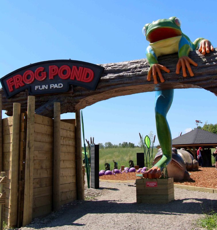 Granary Road - Frog Pond (Family Fun Calgary)