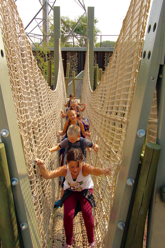 Rope Bridge (Family Fun Calgary)