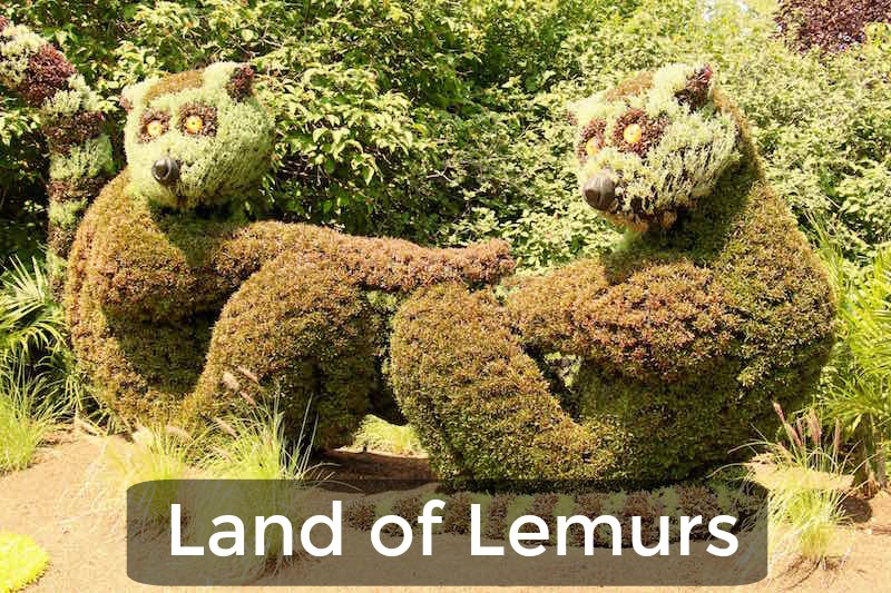 Land Of Lemurs (Family Fun Calgary)