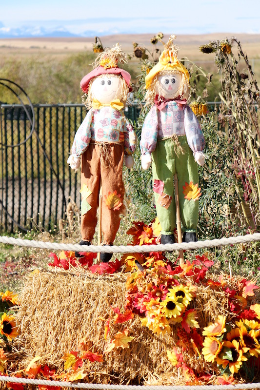 Decorações de outono do Calaway Park (Diversão para a família em Calgary)