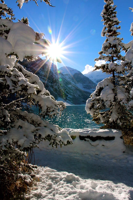 Snowy Mountains (Family Fun Calgary)