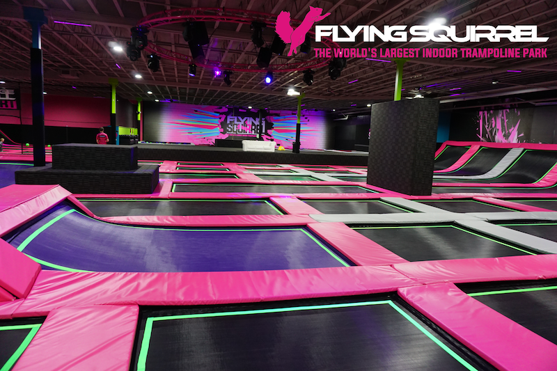 Flying Squirrel Birthday Parties | Family Fun Calgary