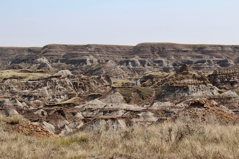 Dinosaur Provincial Park (diversão em família em Calgary)