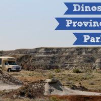 Parque Provincial do Dinossauro (Family Fun Calgary)