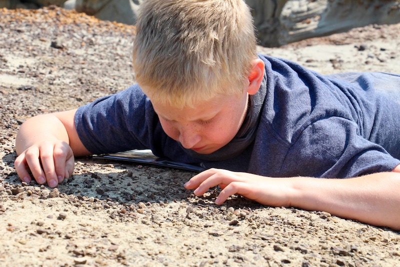 Parc provincial des dinosaures (Family Fun Calgary)